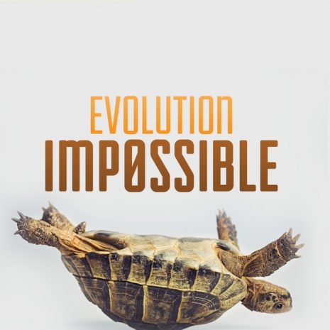 Evolution_Impossible_Cover_RGB__41639.1493761873