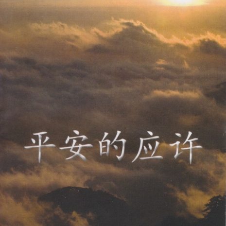 2_Promise_of_Peace_Cover_Chinese